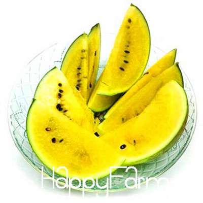 Yellow Flesh Watermelon Seeds for Planting - Sweet Home Garden Fruit, Non-GMO, High Yield