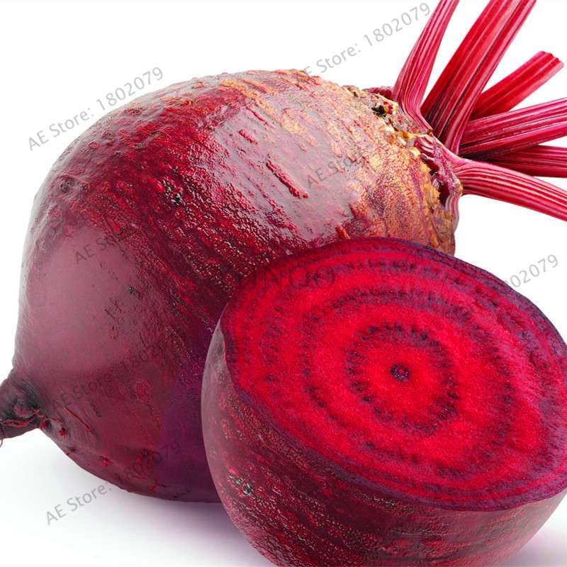 Cherry Belle Radish Seeds - Organic, Easy to Grow, Non-GMO Vegetable Seeds for Home Garden & Outdoor Planting