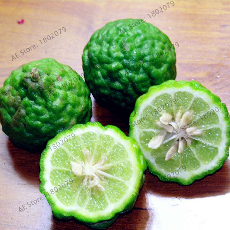 Key Lime Seeds, Delicious Potted Organic Fruit Seeds,(Citrus Aurantifolia) , Fruit Lemon Tree For Home Garden
