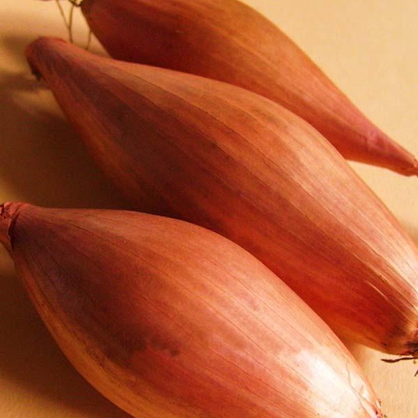 Mini Onion Seeds