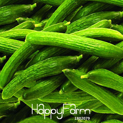 Fresh Cucumber Seeds for Planting - Non-GMO, Home Garden, Balcony & Bonsai | Fast-Growing Vegetable Seeds