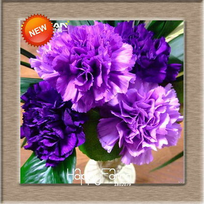 16 Colors Dianthus Caryophyllus Flower Seeds, Balcony Potted Garden Plants, Carnation Seeds for Home & Courtyard