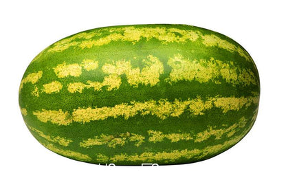 Giant Watermelon Seeds - Non-GMO, Sweet & Juicy Fruit Seeds for Planting - USA Garden Ready