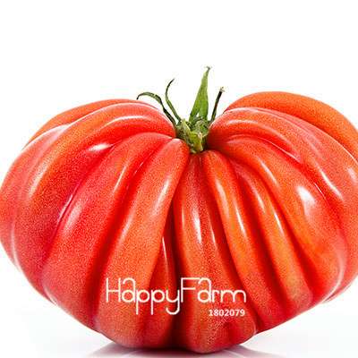 Organic Chocolate Black Tomato Seeds - for Home Garden, Non-GMO Heirloom Vegetable Seeds