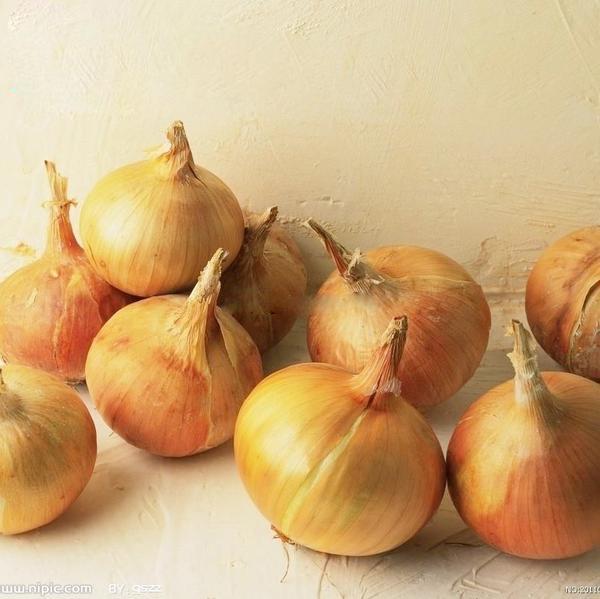 Giant Onion Seeds