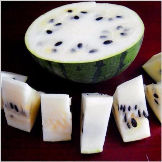 White Watermelon Seeds