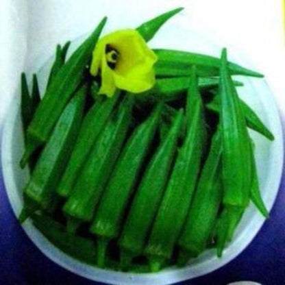 Okra seeds 20seeds vegetable seeds