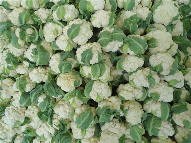 Cauliflower Seeds