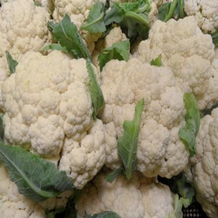 100 Pieces Cauliflower Vegetable Seeds