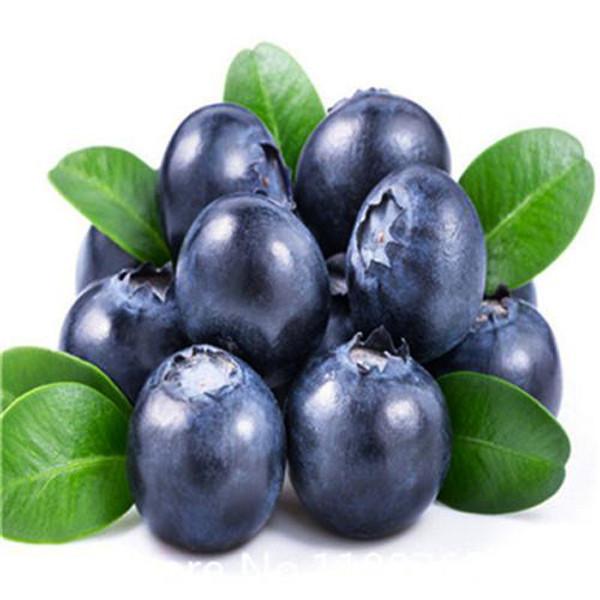 Black Blueberry Seeds