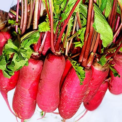 Red Radish Seeds
