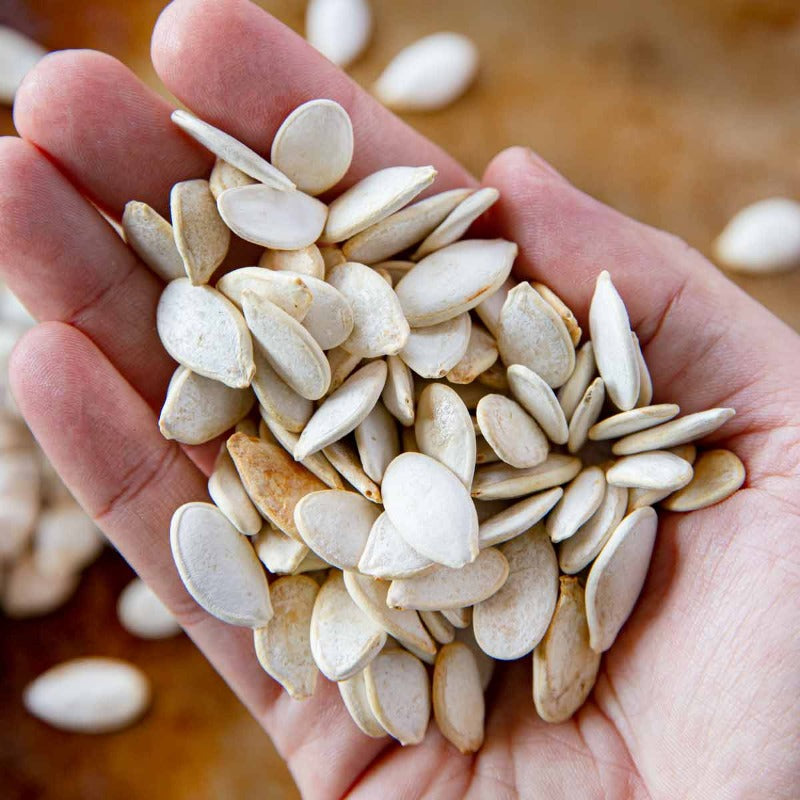 Fresh Giant Pumpkin Seeds