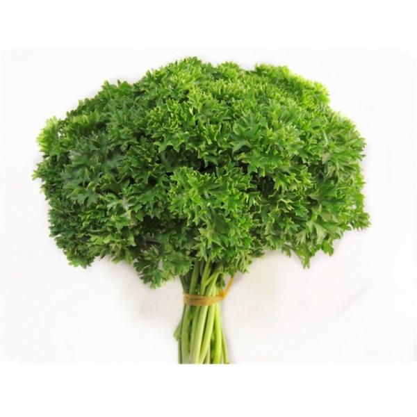 Wrinkled Leaf Parsley Vegetable Seeds (100 Seeds)