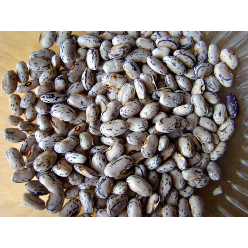 Green Dragon Bean Seeds