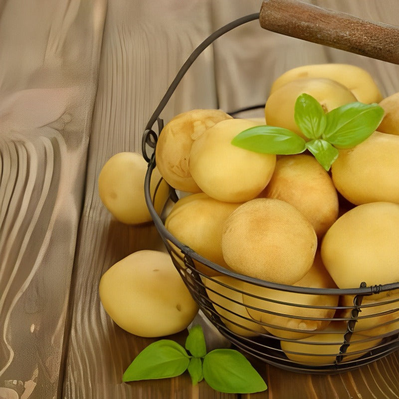 Yellow Potato Seeds