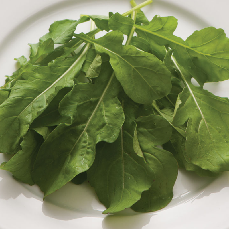 Arugula Seeds