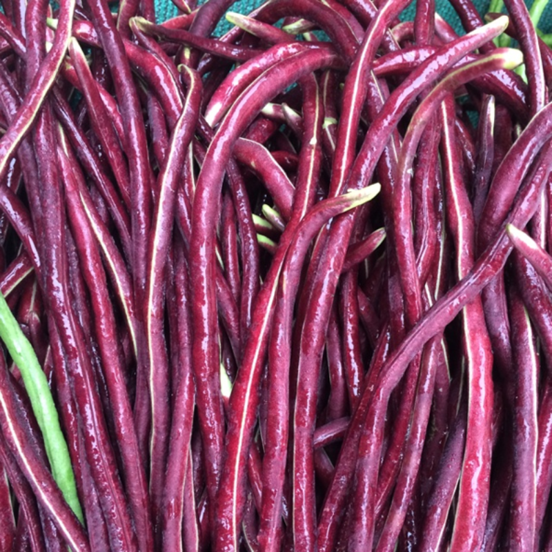 Asparagus Bean Seeds