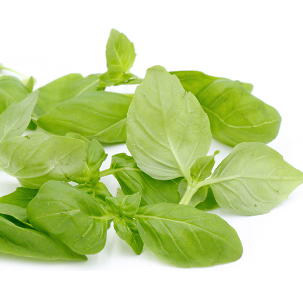 Basil Ceasar Seeds