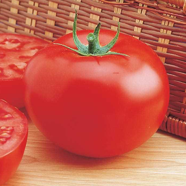 Better Boy Tomato Seeds