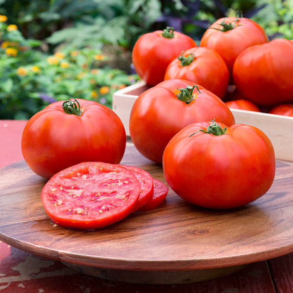 Better Boy Tomato Seeds