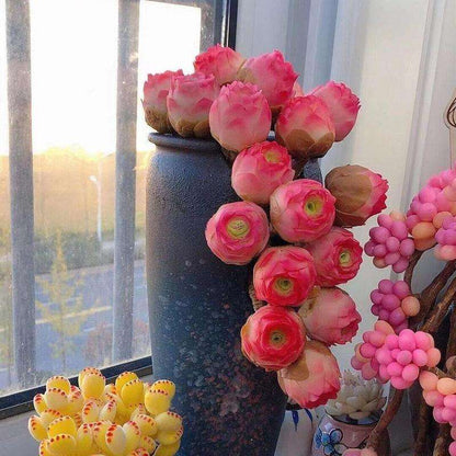 500pcs Mountain Rose Seed Fleshy Peach Rose Succulent Plant for Indoor Potting Desktop Decor