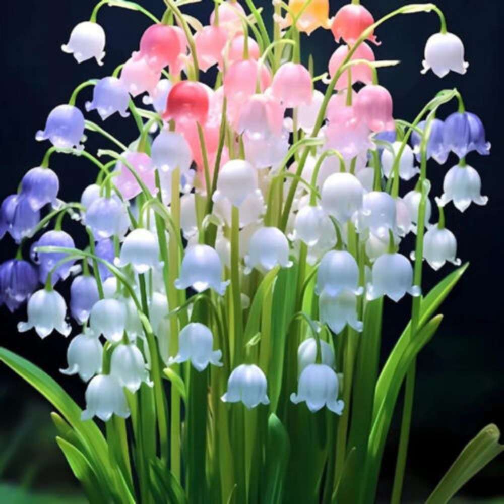 100 PCS Premium Bellflower Seeds (Convallaria keiskei Miq.)