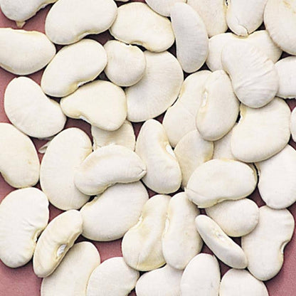 Green Eyebrow Beans Seeds