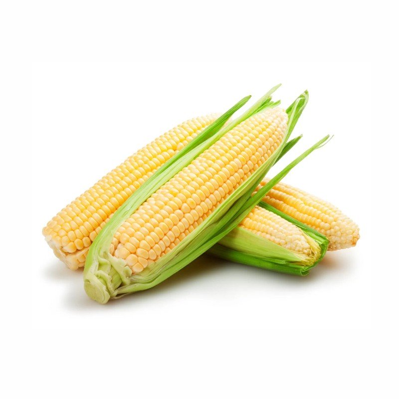 Yellow Fruit Sweet Corn Seeds