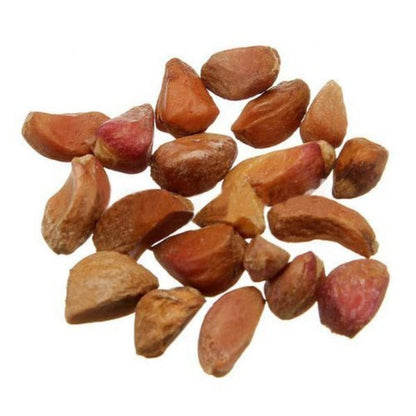 Climbing Rose Seeds