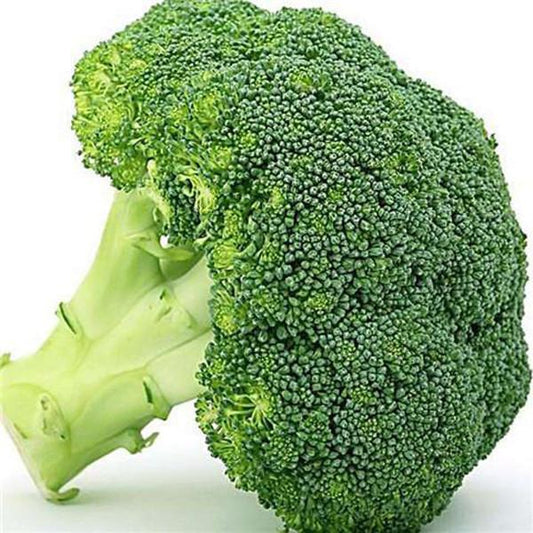 Broccoli Seeds (20 seeds)