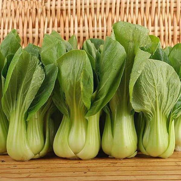 Chinese Cabbage Seeds