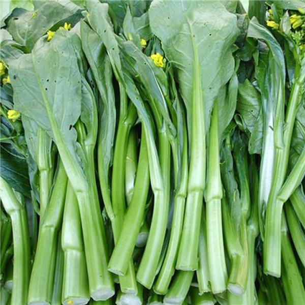 Chinese Kale Seeds