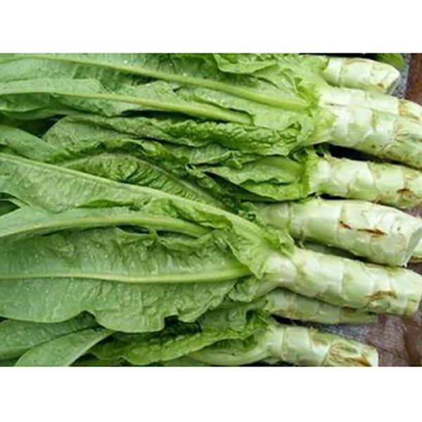 Italian Asparagus lettuce vegetable seeds