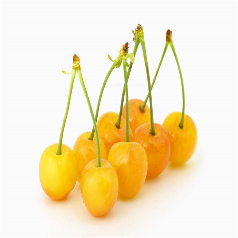 Asian Cherry Fruit Seeds